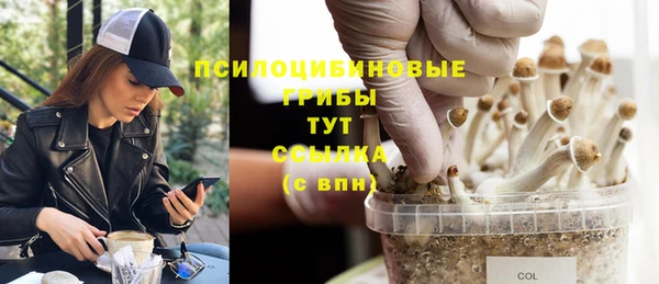 jwh Арсеньев